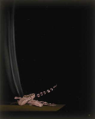 Ballet Shoes II by Rachael Robb