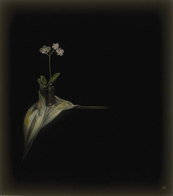 Orchid III by Rachael Robb