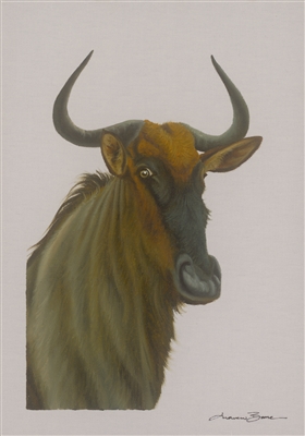 Wildebeest by Andrew Bone