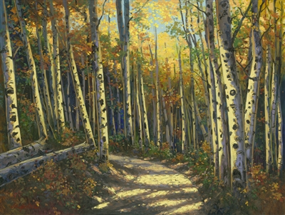 Walk with Me by Schaefer Miles