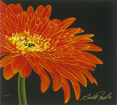 Nature's Sunburst by Scott Jacobs
