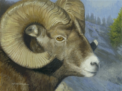 Golden Eye by Pat McManus