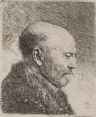 Bald Headed Man in Profile Right: the Artist's Father (?) by Rembrandt Van Rijn