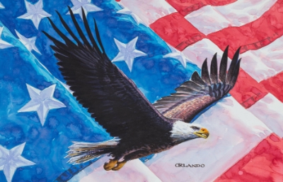 American Eagle II by Orlando Quevedo