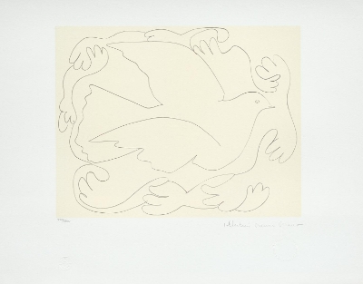 Etudes de Mains et Colombe II(Studies of Hands and Dove II) by Marina Picasso