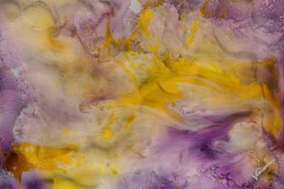 Banana Burst by Jeff Vermeeren