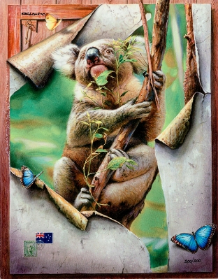 Beautiful Koala by Orlando Quevedo