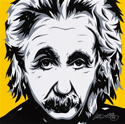 Einstein Genius by Allison Lefcort