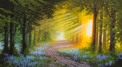 Bluebell Trail by Jon Rattenbury