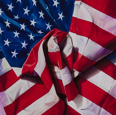 American Flag by Orlando Quevedo