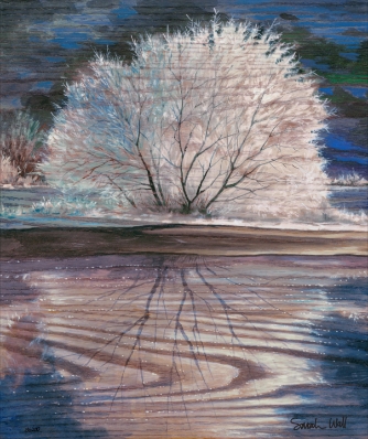 Bare Reflections by Sarah Wall