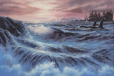 Orca Sunset (Trade Unavailable) by Jim Collins