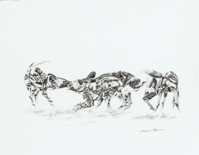 Wild Dogs (Trade Unavailable) by Andrew Bone