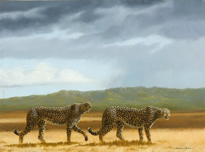 Long Shadows (Trade Unavailable) by Andrew Bone