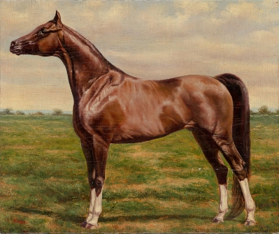 Reni (Trade Unavailable) by Tapia