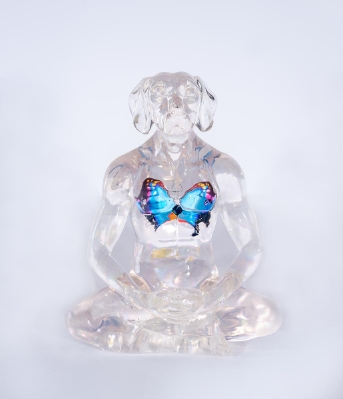He Had Butterflies in His Heat (Trade Unavailable) by Gillie and Marc Schattner