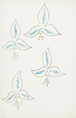 Fleur-de-lys: Variation 30 (Trade Unavailable) by Henri Matisse