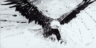 Bird of Prey by Joe Everson