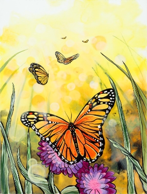 Chasing The Sun by Mark Hadley