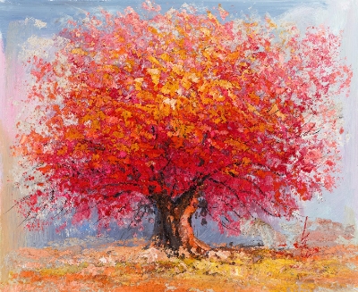 Amazing Bloom by Inam Inamullah