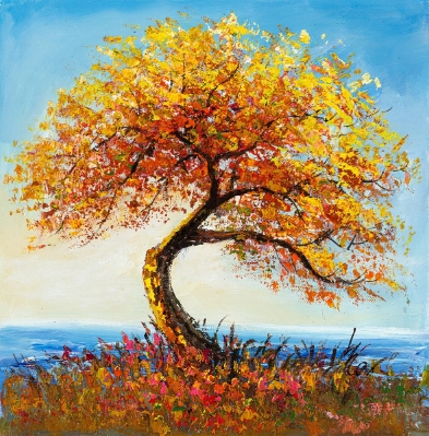 Amazing Fall by Inam Inamullah