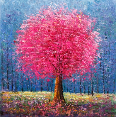 Blush in Bloom by Inam Inamullah