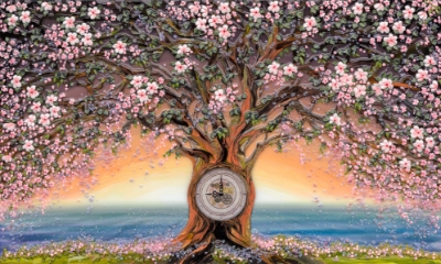 A Time to Live by Jon Rattenbury