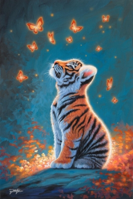 Enchanted Wonder by Jon Rattenbury